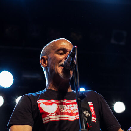 Descendents / Not On Tour / DeeCracks @ Arena Wien