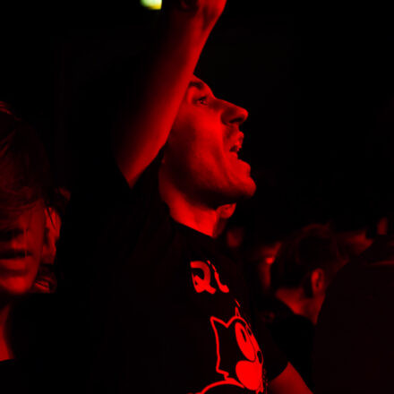 Descendents / Not On Tour / DeeCracks @ Arena Wien