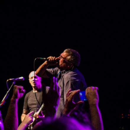 Descendents / Not On Tour / DeeCracks @ Arena Wien