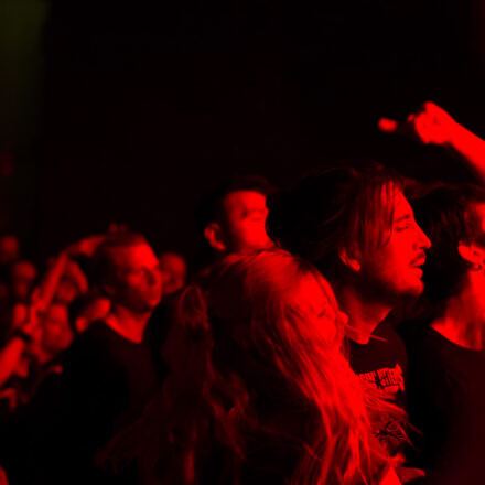 Descendents / Not On Tour / DeeCracks @ Arena Wien