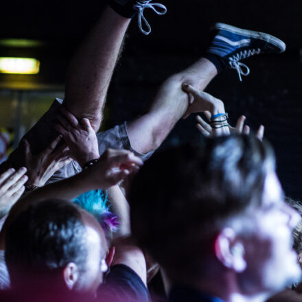 Descendents / Not On Tour / DeeCracks @ Arena Wien