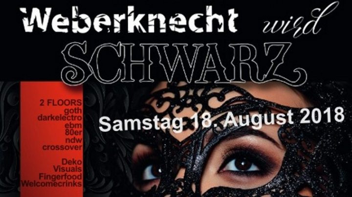 Weberknecht wird schwarz am 18. August 2018 @ Weberknecht. Weberknecht wird schwarz am 18. August 2018 @ Weberknecht.