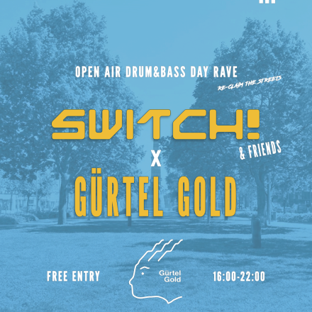 Switch! x Gürtel Gold