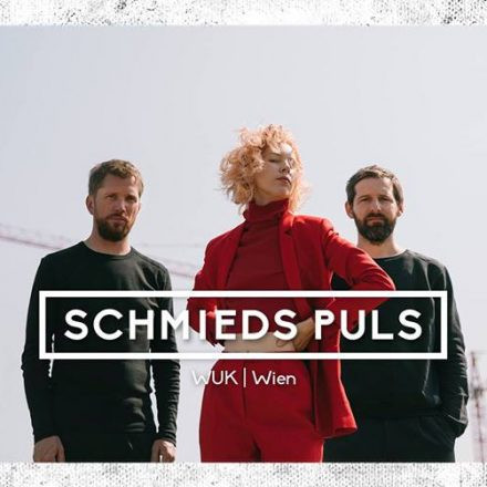 Schmieds Puls live at WUK