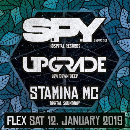 THE HIVE presents S.P.Y, Upgrade & Stamina MC