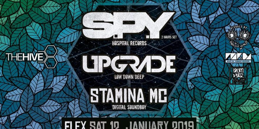 THE HIVE presents S.P.Y, Upgrade & Stamina MC