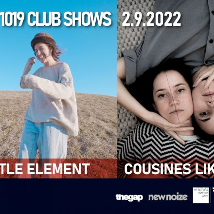 Little Element + Cousines like Shit