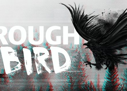 The Rough Bird Night