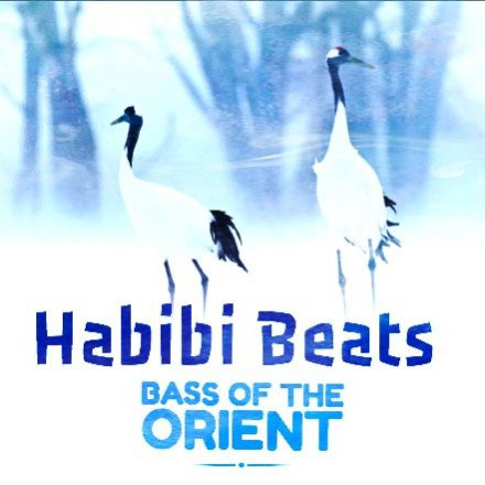 Habibi Beats | Bass of the Orient - DJ & Live Music Party