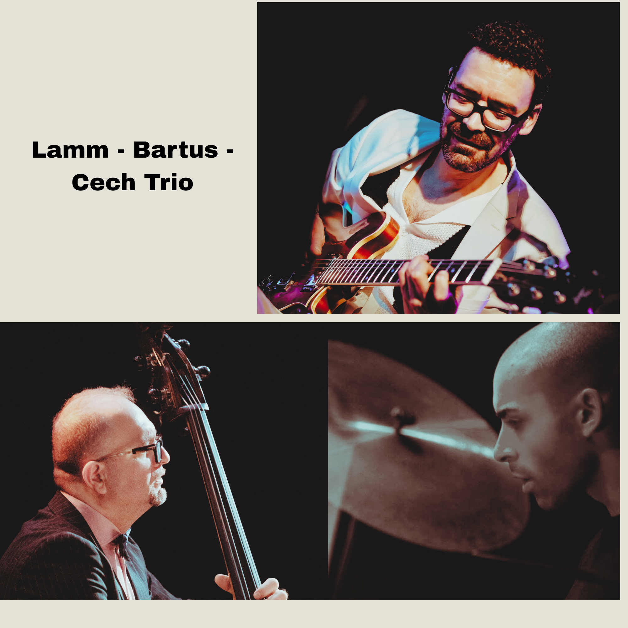 Lamm | Bartus | Chech Trio am 20. October 2026 @ Frau Mayer.