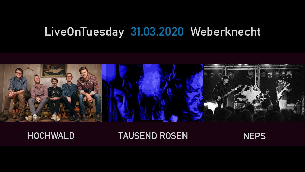 Live On Tuesday: Hochwald • Tausend Rosen • Neps am 31. March 2020 @ Weberknecht. Live On Tuesday: Hochwald • Tausend Rosen • Neps am 31. March 2020 @ Weberknecht.
