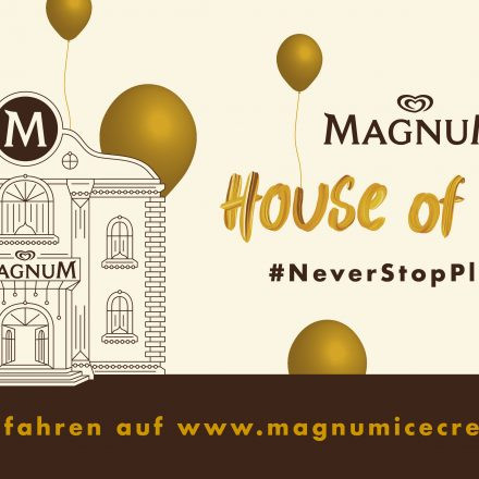 Magnum House of Play