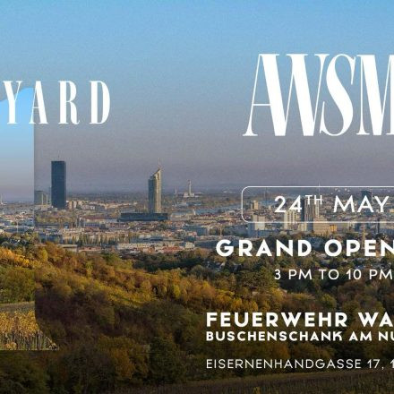 AWSM. DAYPARTY WIEN