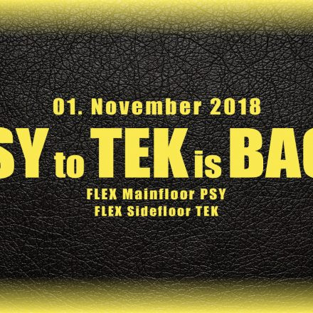 PSY to TEK is BACK