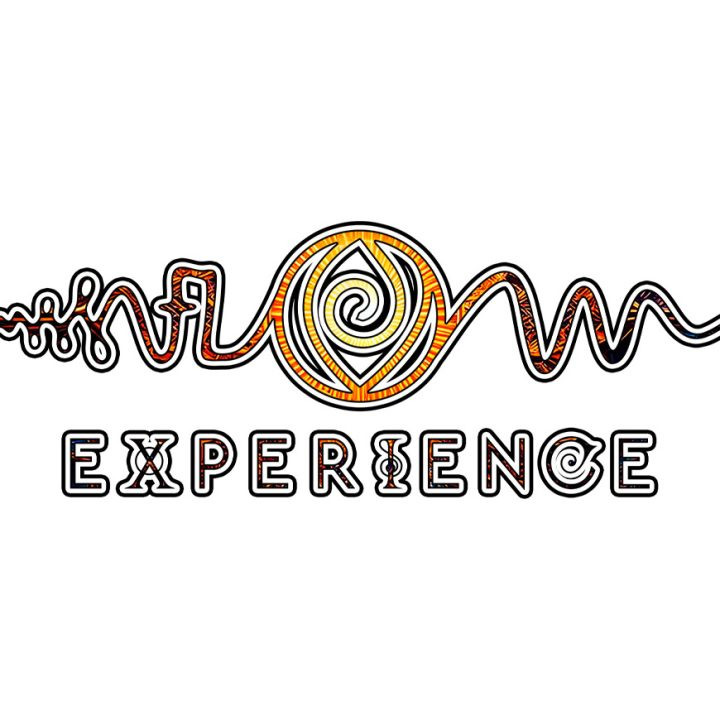 FLOW Experience