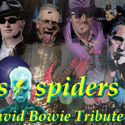 Glassspiders