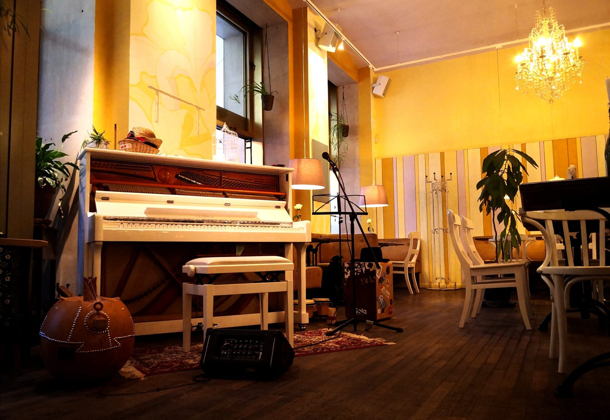 Irina Steiner & Band am 26. May 2026 @ Frau Mayer.