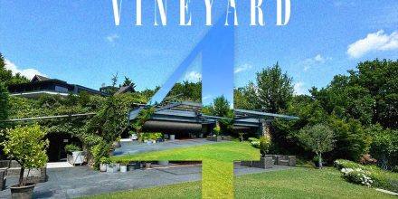 AWSM. VINEYARD EDITION (19+)