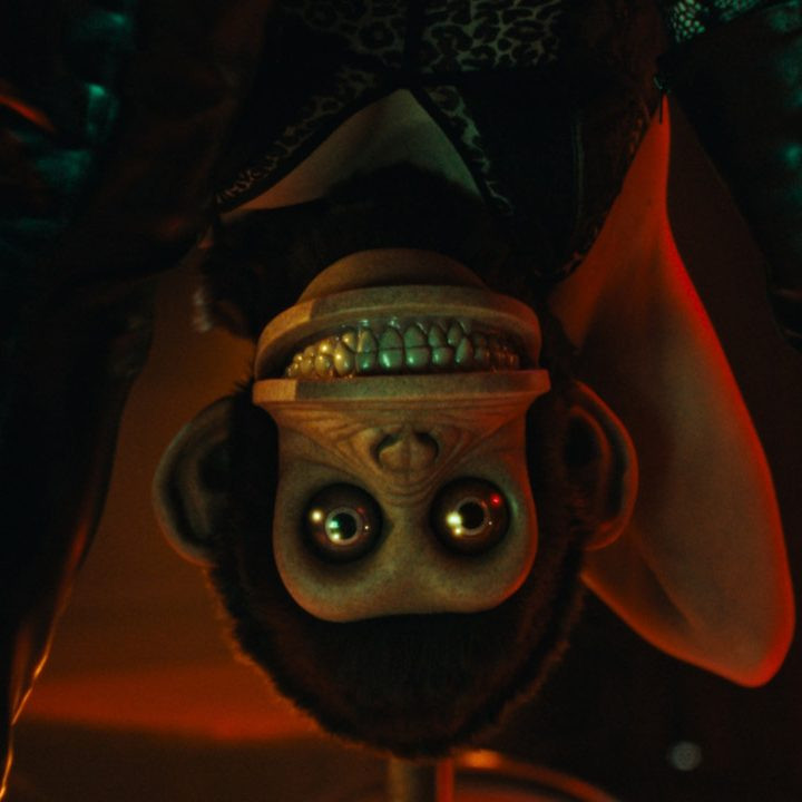 Gewinne ein Fan-Package zum Kinostart von THE MONKEY