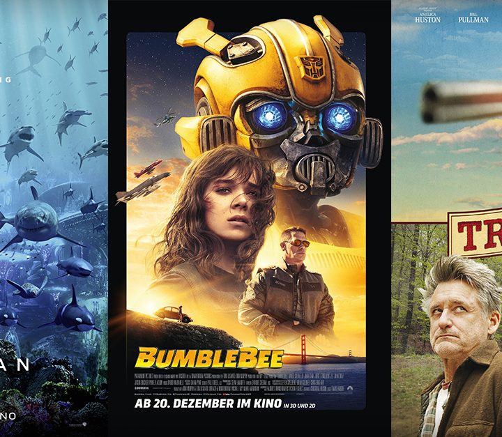 Bumblebee | Aquaman | Trouble - alles Leinwand!