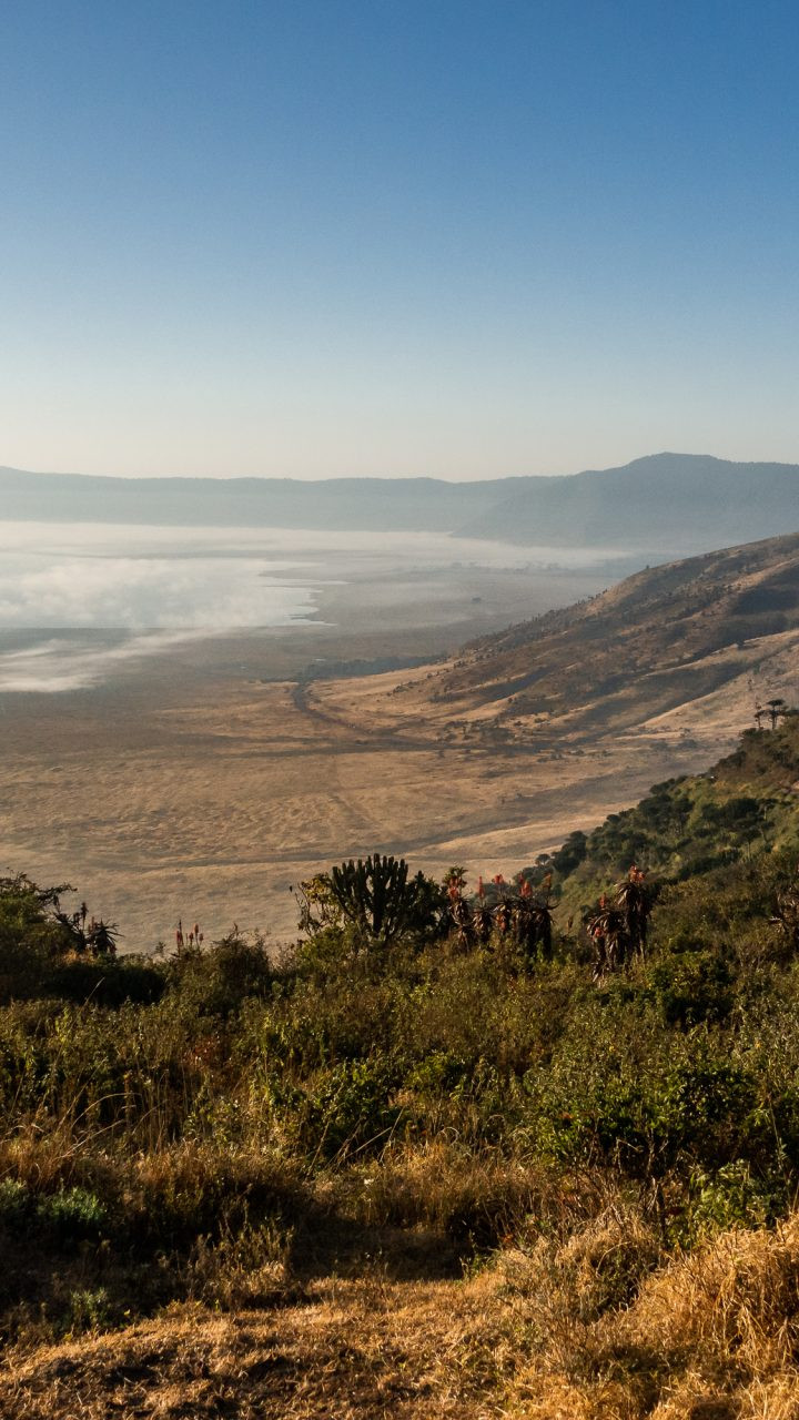 Safari in Tansania