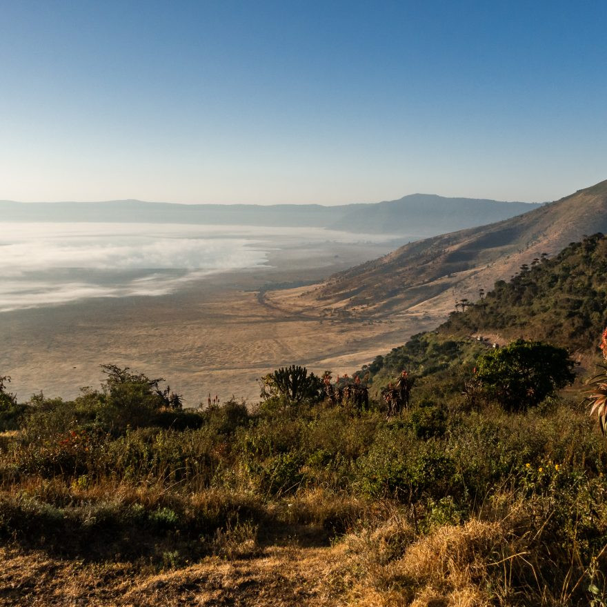 Safari in Tansania