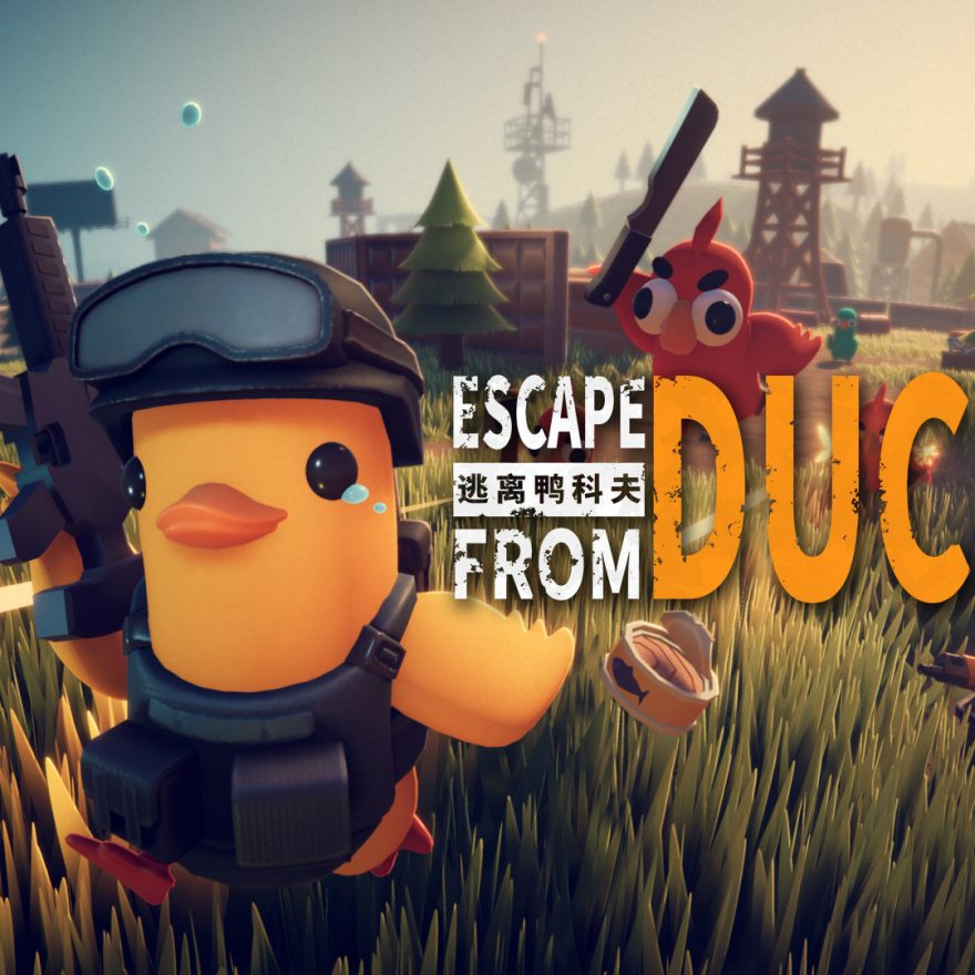 What The Duck?!