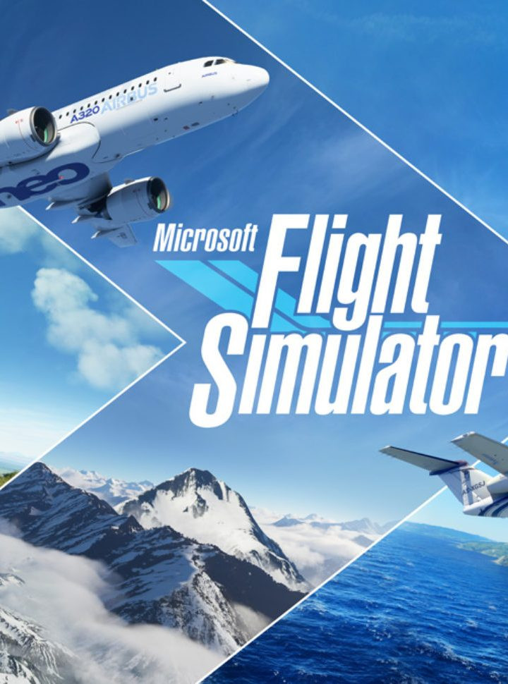 Den Flugsimulator aufgeschraubt und begutachtet