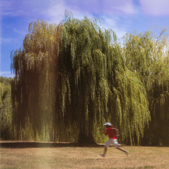 Like Home (Single)