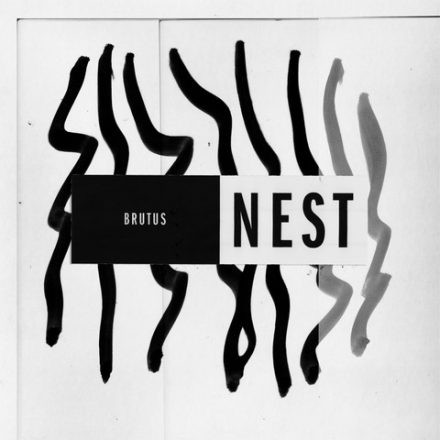 Nest - Brutus