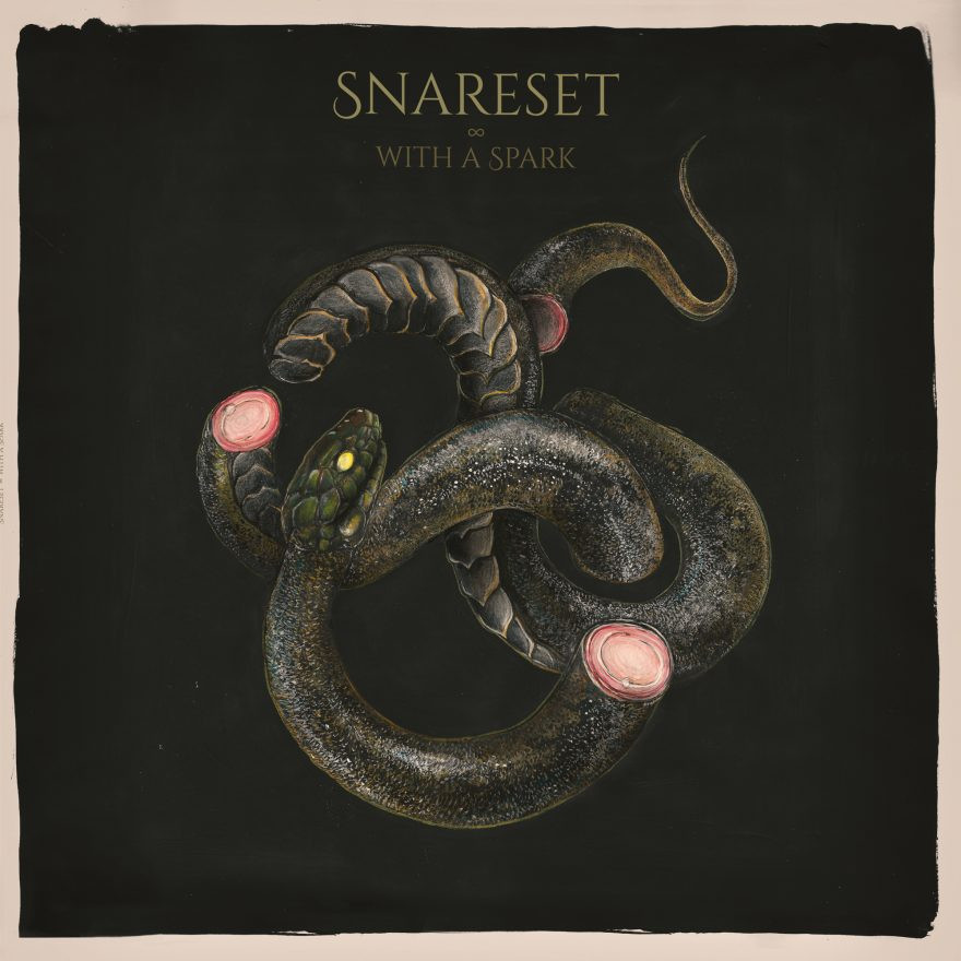 With A Spark - Snareset
