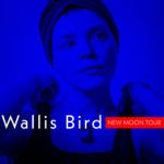 Wallis Bird